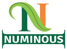 Numinous Products Pvt. Ltd. Numinous Products Pvt. Ltd.